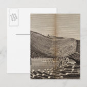 イルドスタファ ポストカード (正面/裏面)