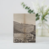 イルドスタファ ポストカード (スタンド正面)