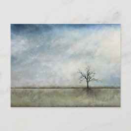 イルマーレ・デンター ポストカード