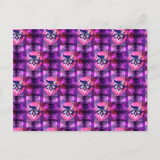 イルミナティ猫 ポストカード (正面)