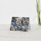 イルミネーションさくらんぼフラズノーテカード サンキューカード (正面)