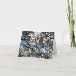 イルミネーションさくらんぼフラズノーテカード サンキューカード