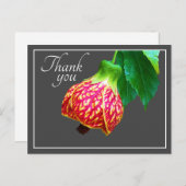 イロハカエデの花 灰色の背景 ありがとう ポストカード (正面/裏面)