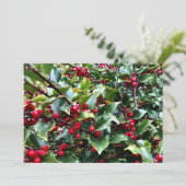 イロハカエデの葉と実 シーズンカード (スタンド正面)