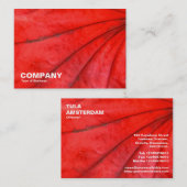 イロハカエデの葉 名刺 (正面/裏面)