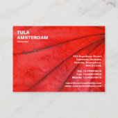 イロハカエデの葉 名刺 (裏面)