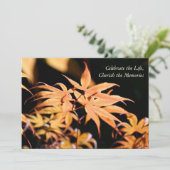 イロハカエデ1 お別れの会 記念式典 招待状 (スタンド正面)