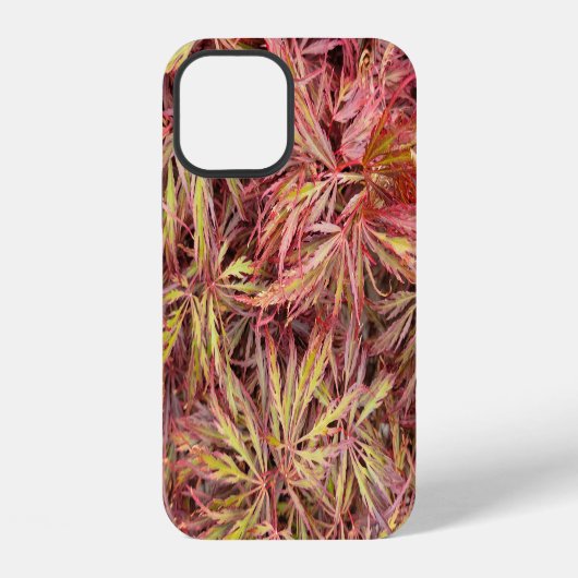 イロハモミジの葉 iPhoneケース (裏面)