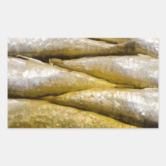 イワシの缶詰 長方形シール (正面)