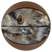 イワシカッコいいフクロウ撮影 バスケットボール (正面)