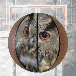 イワシカッコいいフクロウ撮影 バスケットボール