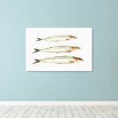 イワシ（ピルチャード） 2 キャンバスプリント (インサイチュ (ウッドフロア))