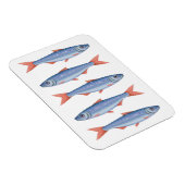 イワシ マグネット (右側)