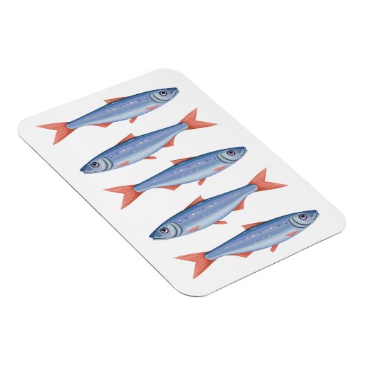 イワシ マグネット (右側)