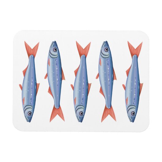 イワシ マグネット (横)