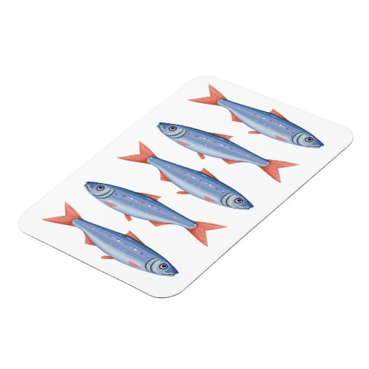 イワシ マグネット (左側)