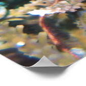 イワダコ ポスター (角)