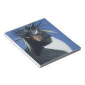 イワトビペンギン (Eudyptes chrysocome) ノートパッド (アングル)