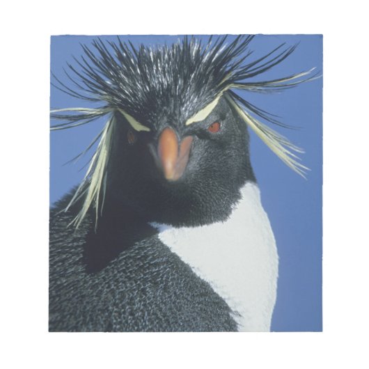イワトビペンギン (Eudyptes chrysocome) ノートパッド (正面)