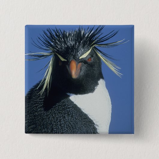 イワトビペンギン (Eudyptes chrysocome) 缶バッジ (正面)