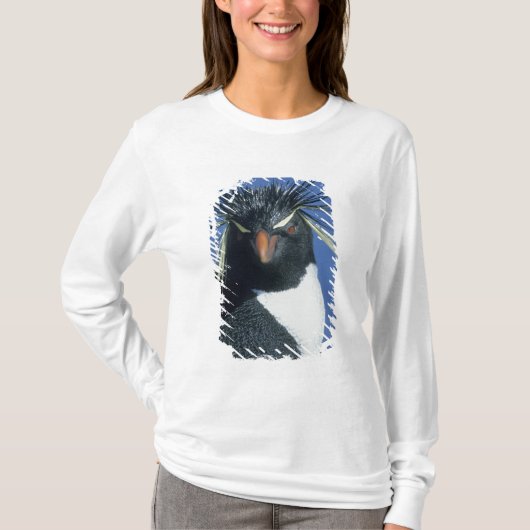 イワトビペンギン (Eudyptes chrysocome) Tシャツ (正面)