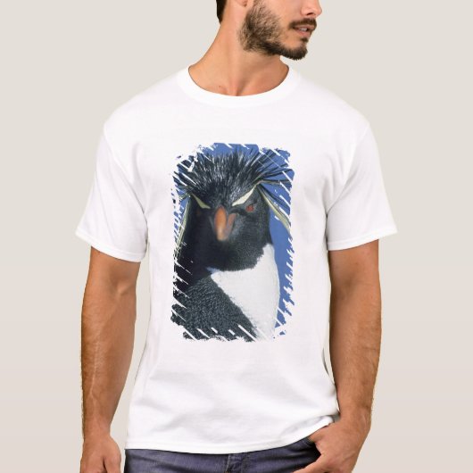 イワトビペンギン (Eudyptes chrysocome) Tシャツ (正面)