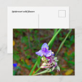 イワナの花 ポストカード (正面/裏面)