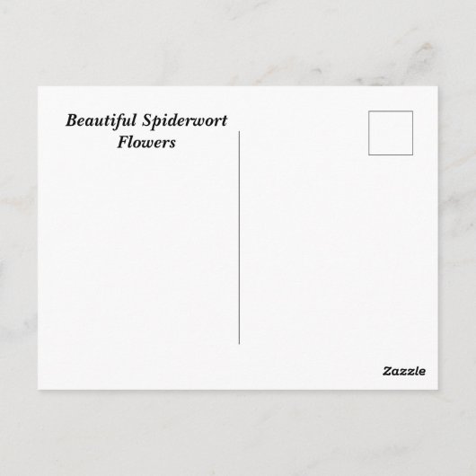 イワナの花 ポストカード (裏面)