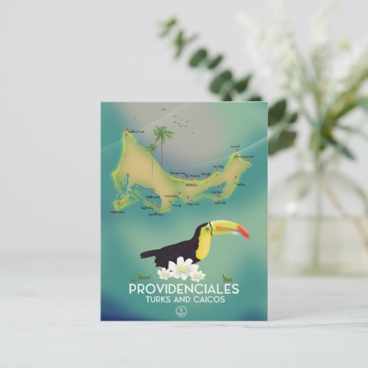 イワナ目 ポストカード (スタンド正面)