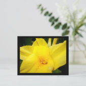 イワナ花はがき ポストカード (スタンド正面)