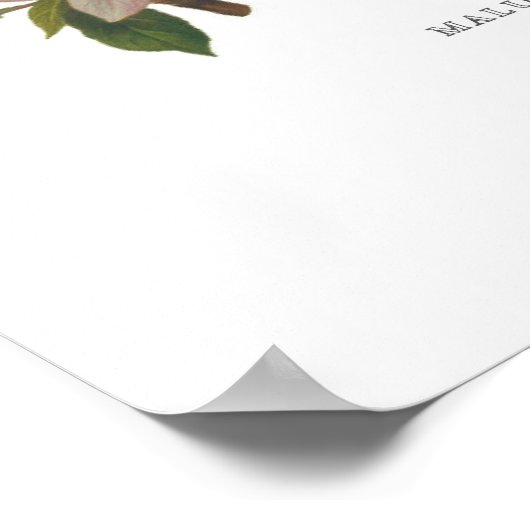 イワナ ポスター (角)