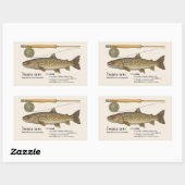 イワナ(Salvelinus leucomaenis)– 日本のイラスト 長方形シール (シート)