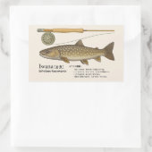 イワナ(Salvelinus leucomaenis)– 日本のイラスト 長方形シール (バッグ)