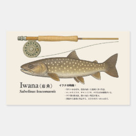 イワナ(Salvelinus leucomaenis)– 日本のイラスト 長方形シール
