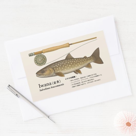 イワナ(Salvelinus leucomaenis)– 日本のイラスト 長方形シール (封筒)