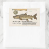 イワナ(Salvelinus leucomaenis) – 英文イラスト 長方形シール (バッグ)