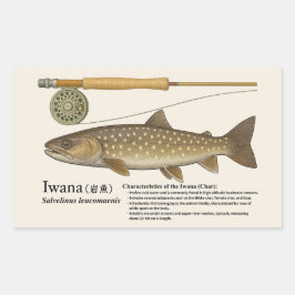 イワナ(Salvelinus leucomaenis) – 英文イラスト 長方形シール