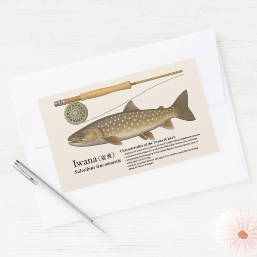 イワナ(Salvelinus leucomaenis) – 英文イラスト 長方形シール (封筒)