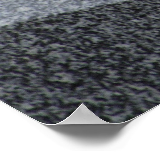 イワヒメジカ ポスター (角)