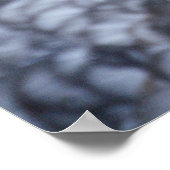 イワヒメジカ ポスター (角)