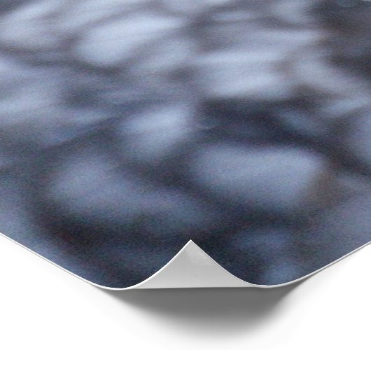 イワヒメジカ ポスター (角)