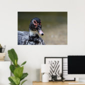 イワヒメジカ ポスター (ホームオフィス)