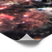 イワラビ ポスター (角)