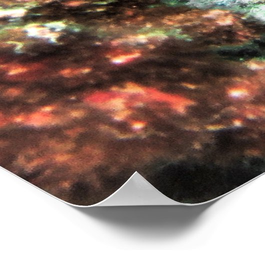 イワラビ ポスター (角)