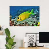 イワラビ ポスター (ホームオフィス)