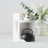 インと陽 ポストカード (スタンド正面)