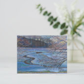 インウッドパークによる水面の反射 ポストカード (スタンド正面)