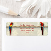 インカマクズクリームレース ラベル (インサイチュ)