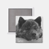 インカ マグネット (正面/裏面)