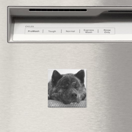 インカ マグネット (インサイチュ (食洗機))